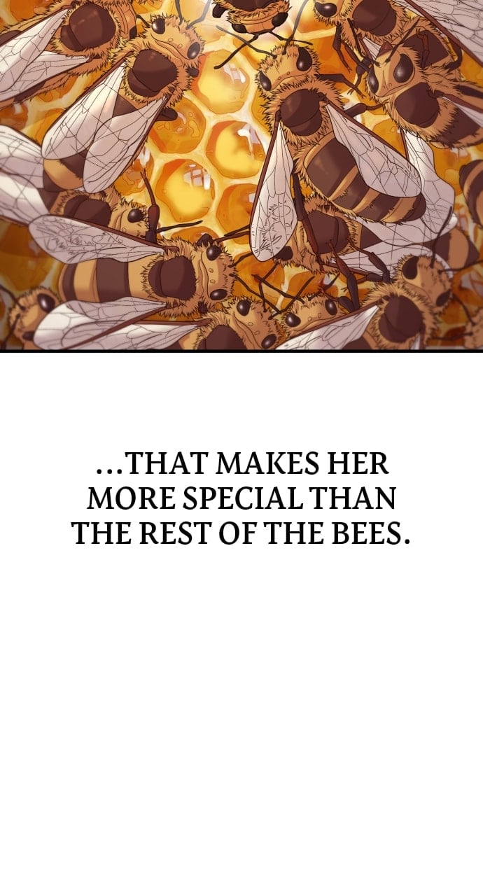 Page 4 of Chapter 52