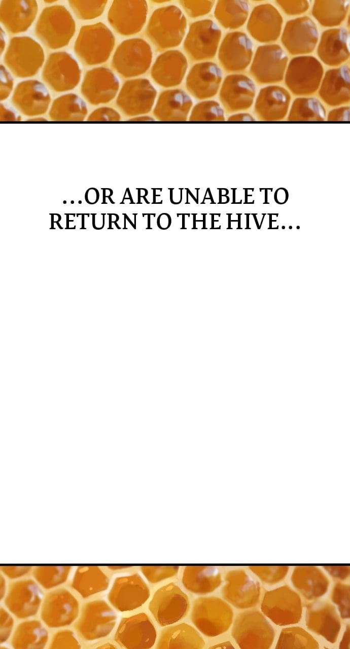 Page 11 of Chapter 52