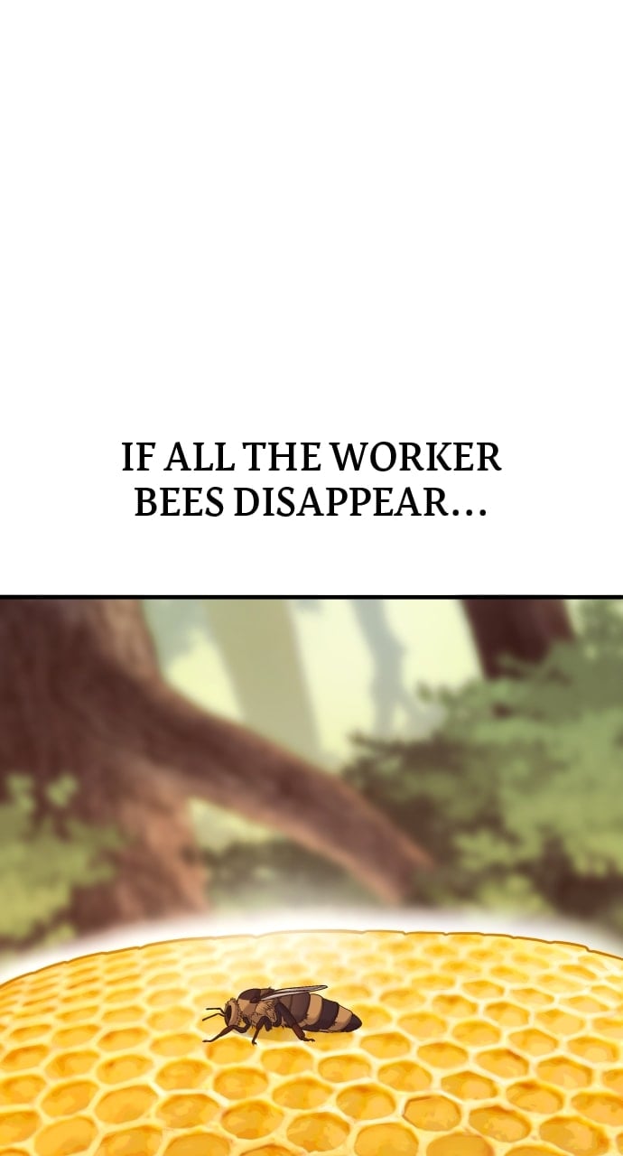 Page 13 of Chapter 52