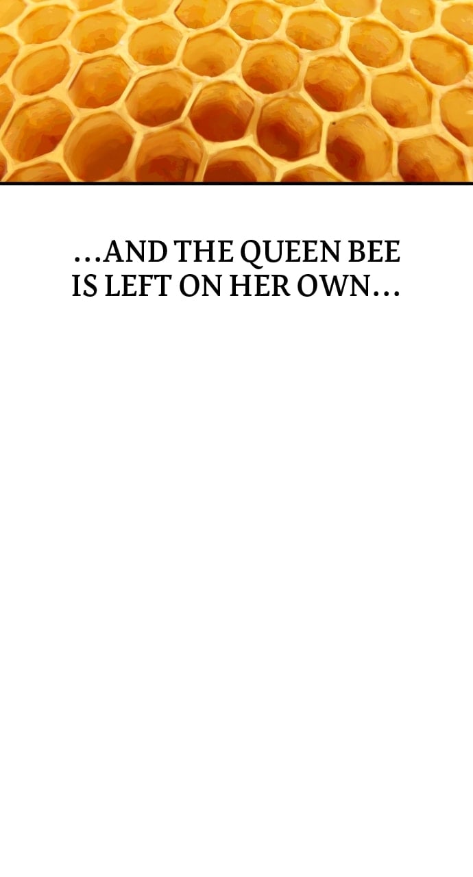 Page 14 of Chapter 52