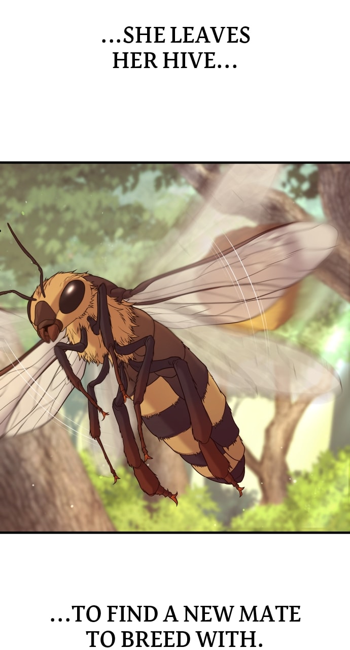 Page 15 of Chapter 52