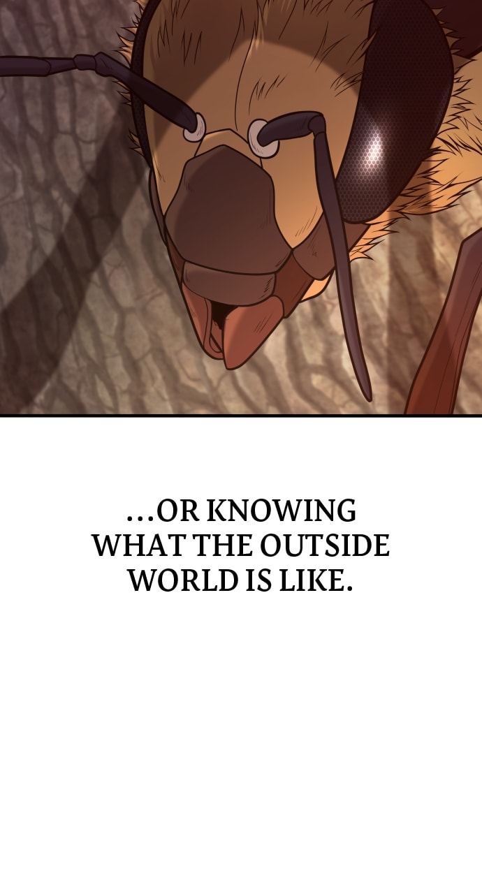 Page 17 of Chapter 52
