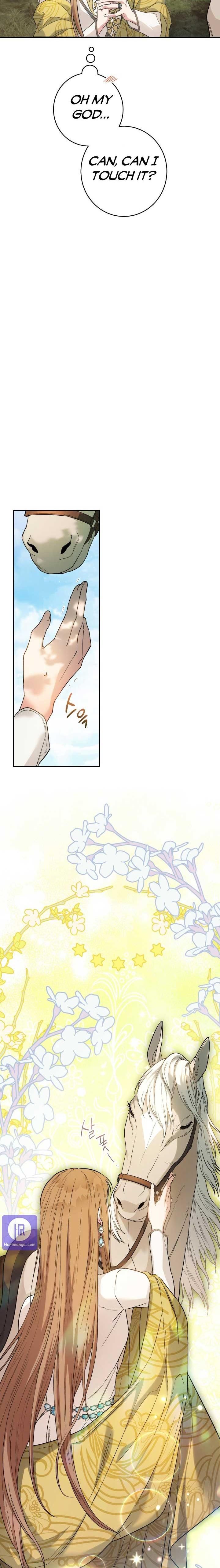 Page 26 of Chapter 17