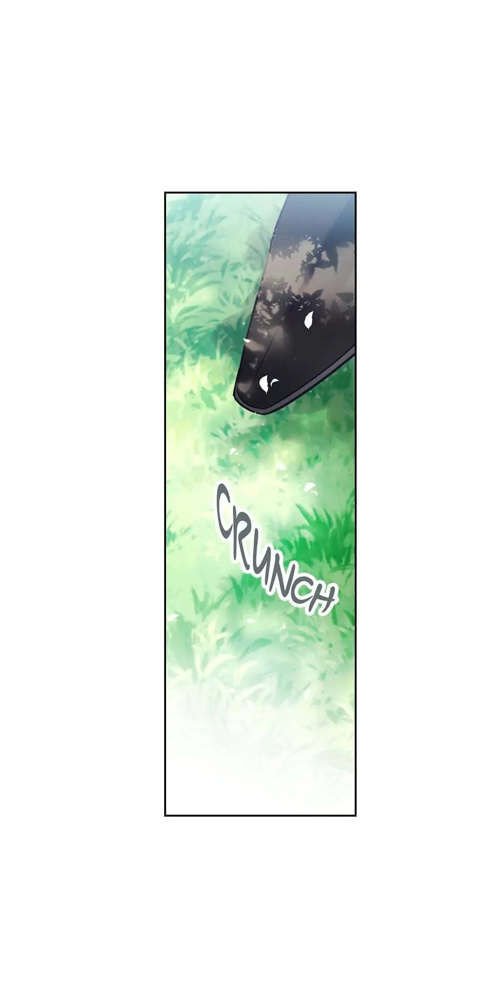 Page 6 of Chapter 19