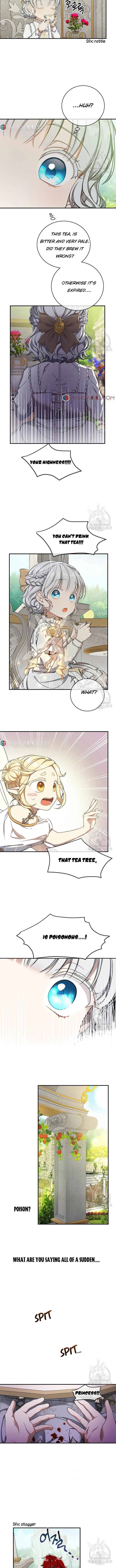 Page 7 of Chapter 19