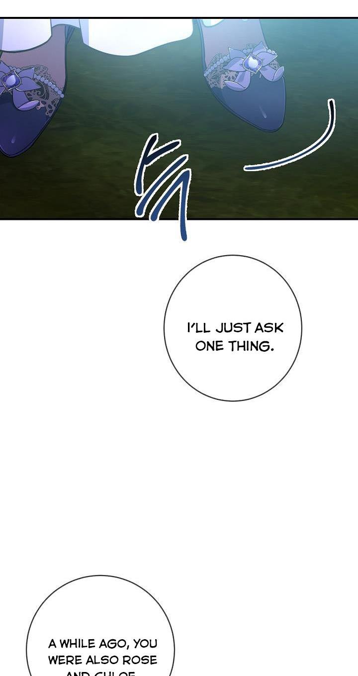 Page 13 of Chapter 43
