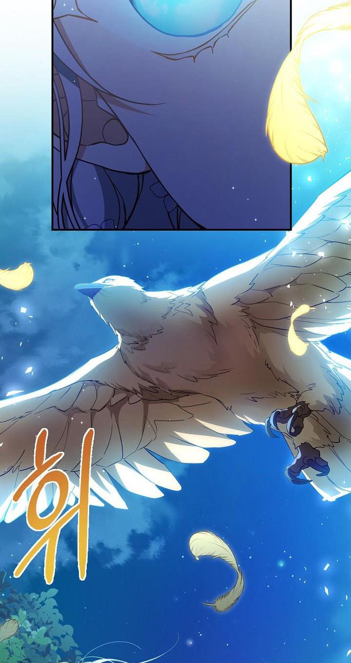 Page 26 of Chapter 43