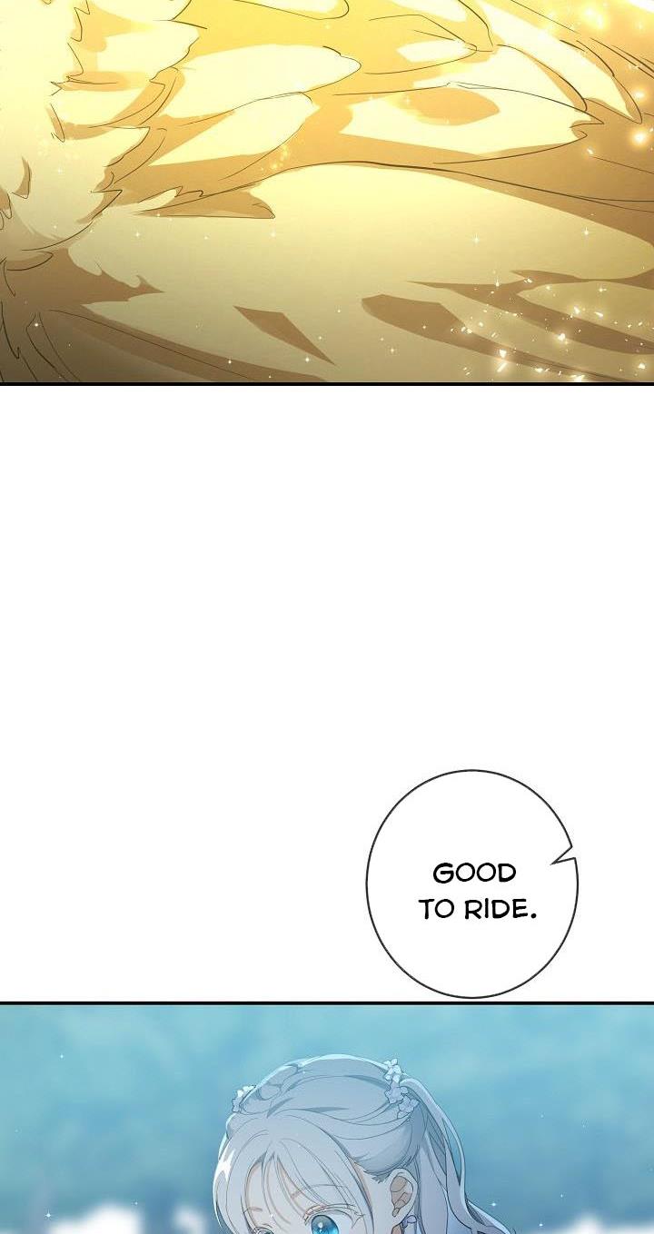 Page 31 of Chapter 43