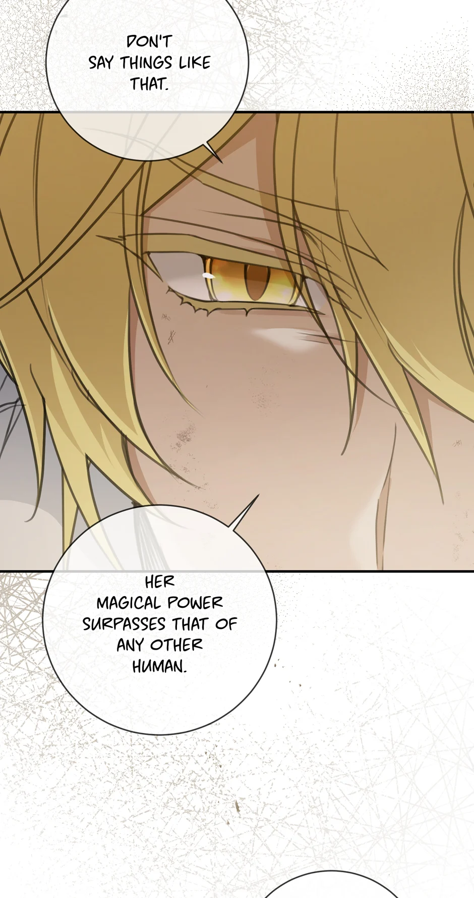 Page 22 of Chapter 93