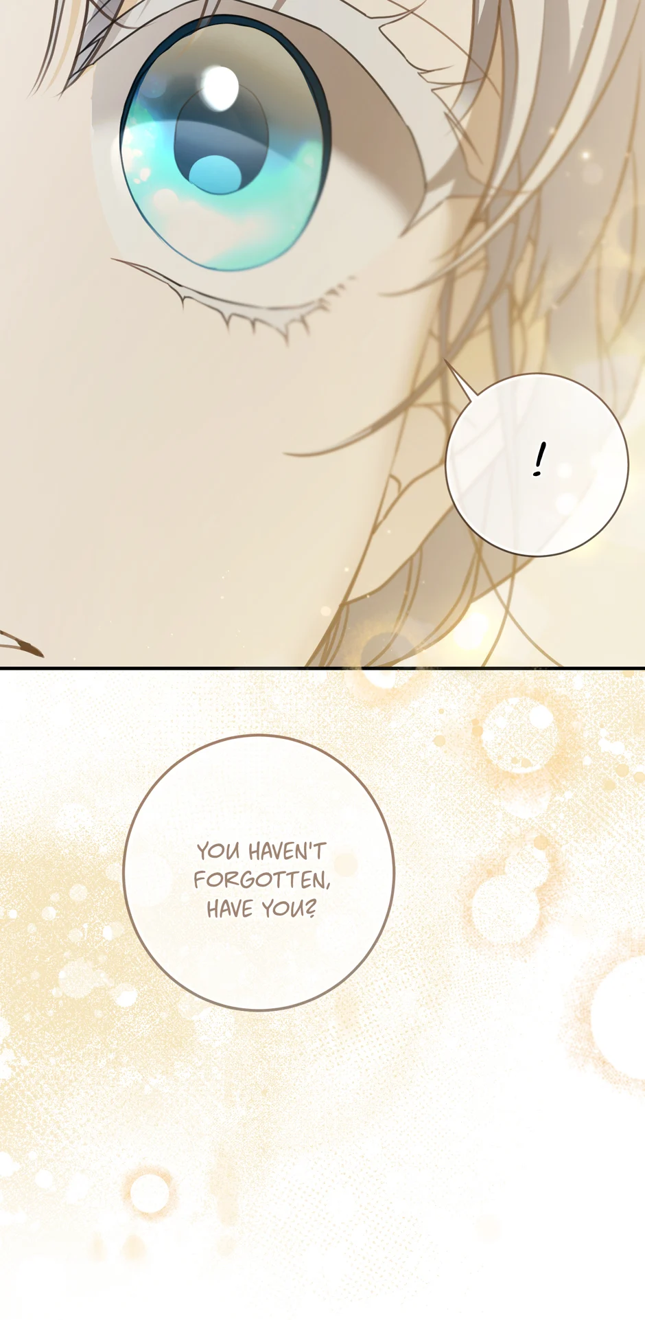 Page 52 of Chapter 95
