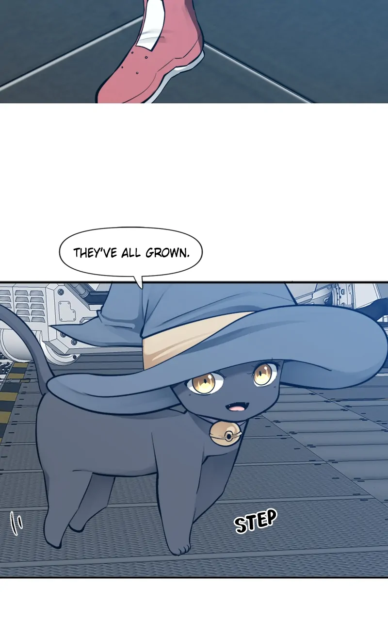 Page 55 of Chapter 88