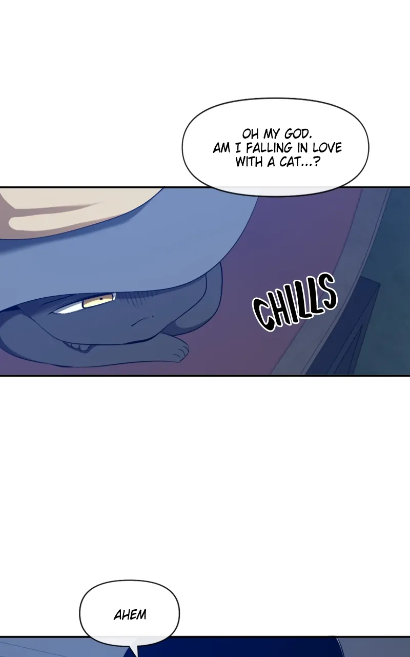 Page 41 of Chapter 97