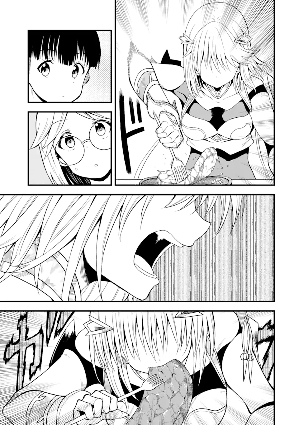 Page 13 of Chapter 12.1