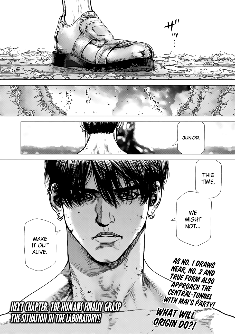 Page 21 of Chapter 41