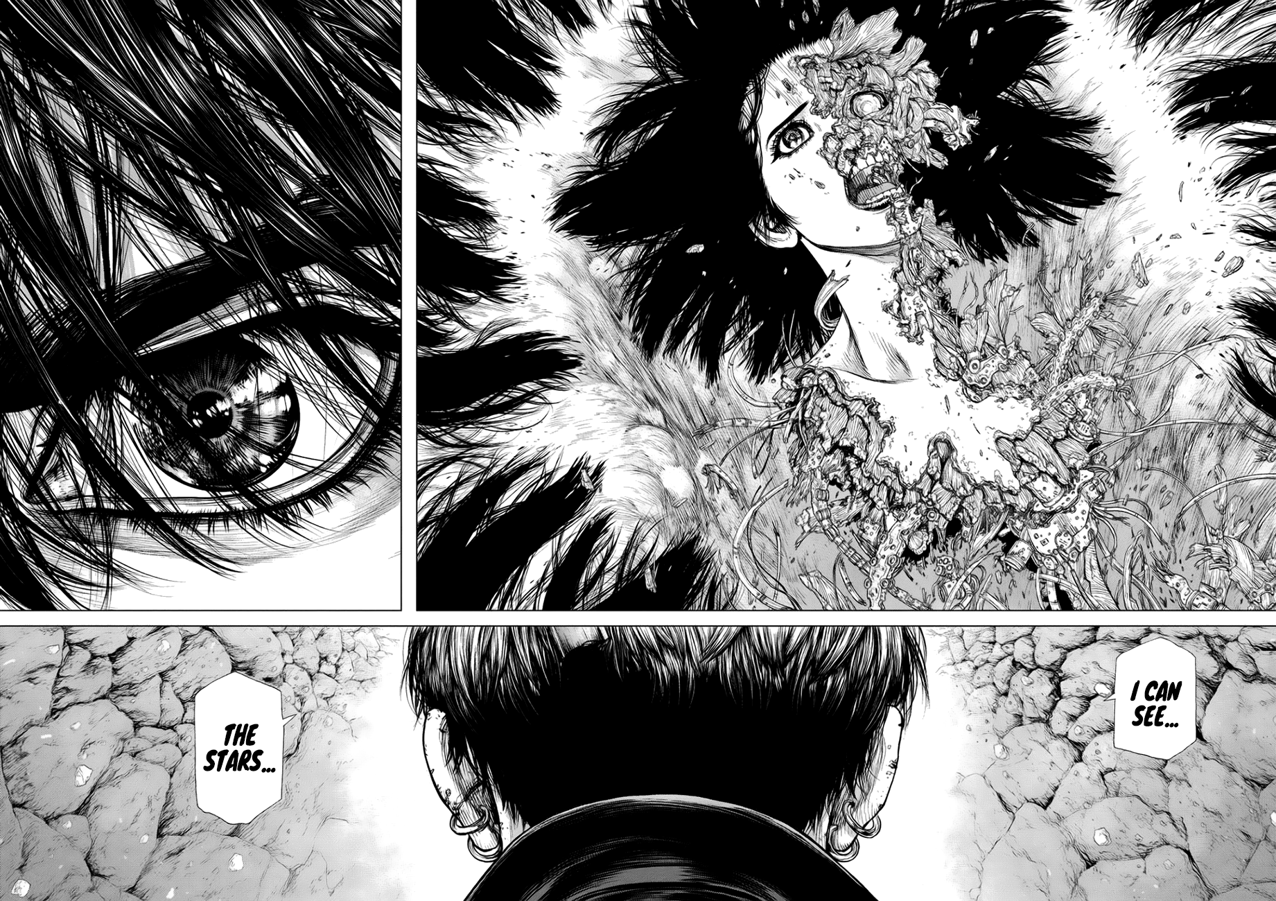 Page 14 of Chapter 83