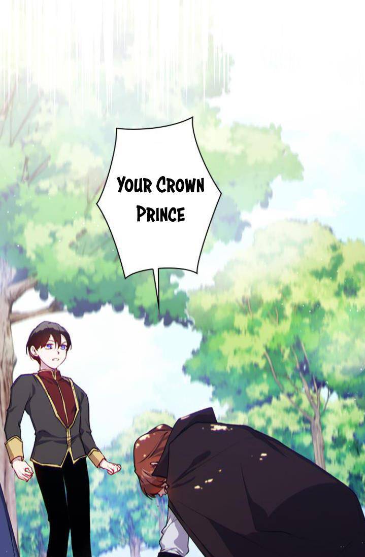 Page 17 of Chapter 11