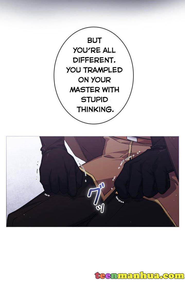 Page 31 of Chapter 11