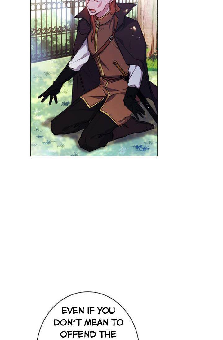 Page 36 of Chapter 11