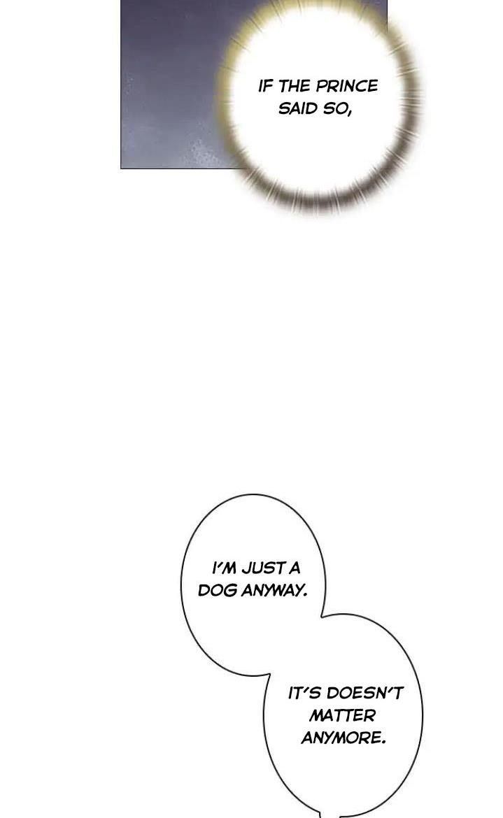 Page 59 of Chapter 16