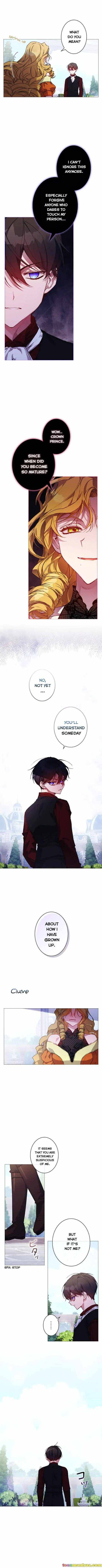 Page 7 of Chapter 19