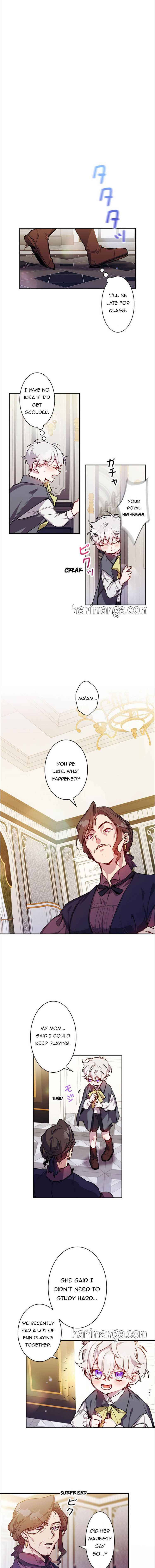 Page 8 of Chapter 2