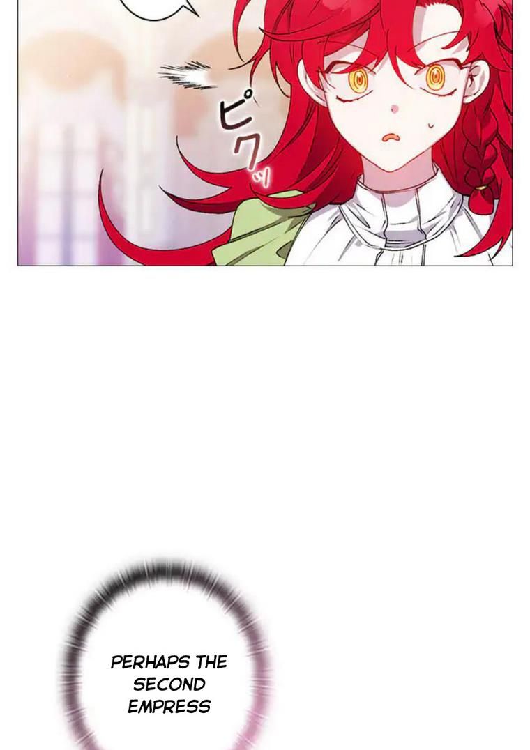 Page 40 of Chapter 24