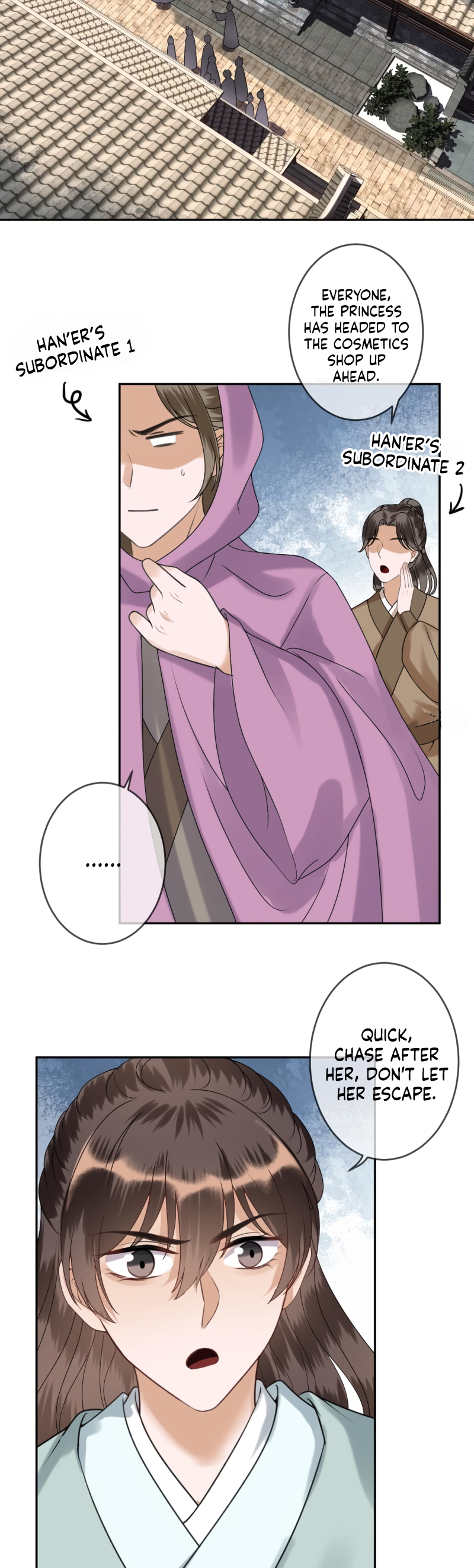 Page 17 of Chapter 221