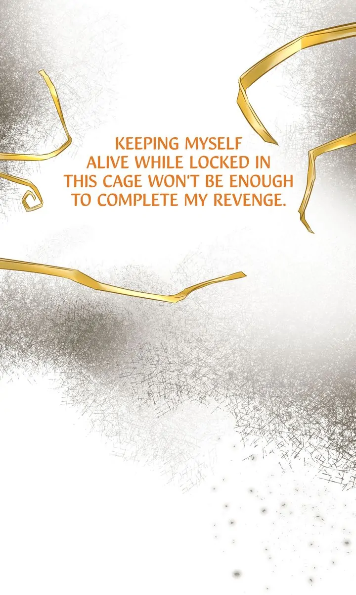 Page 62 of Chapter 135
