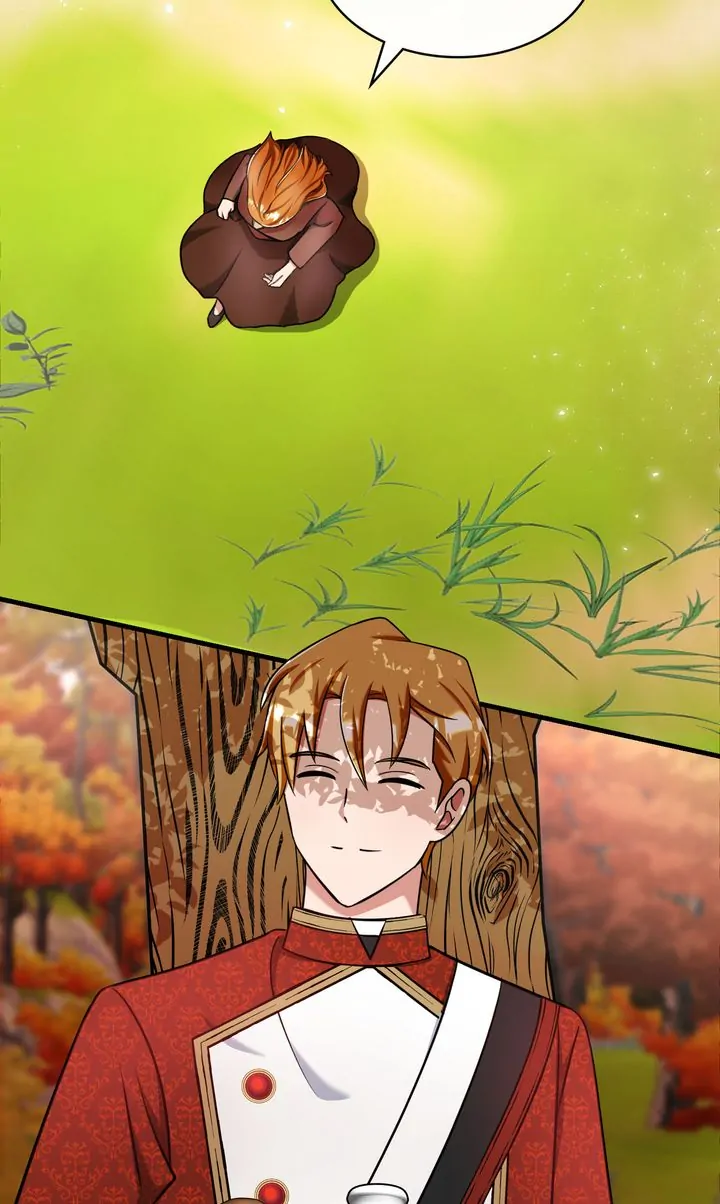 Page 41 of Chapter 146