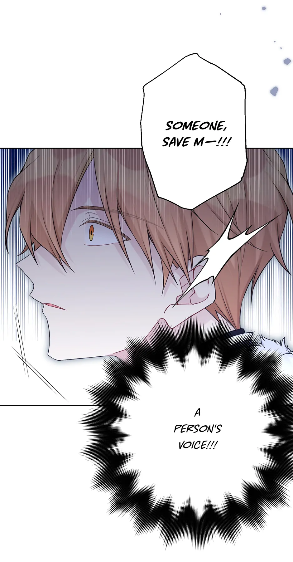 Page 17 of Chapter 108