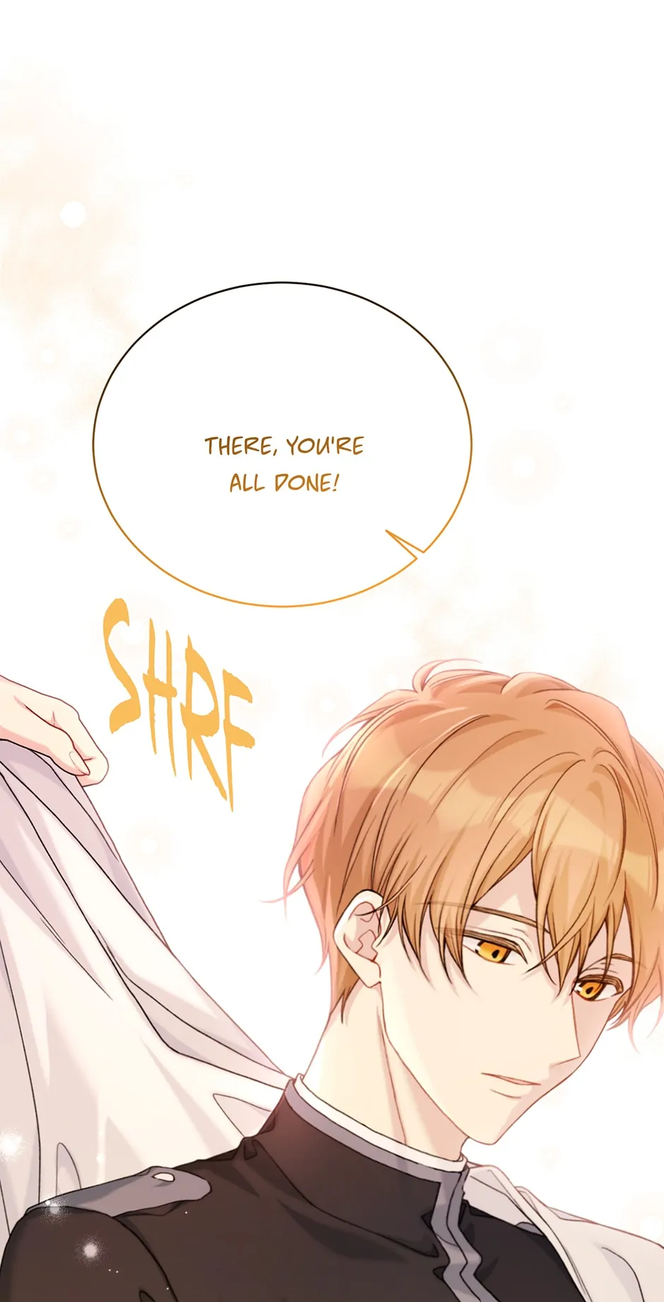 Page 1 of Chapter 95