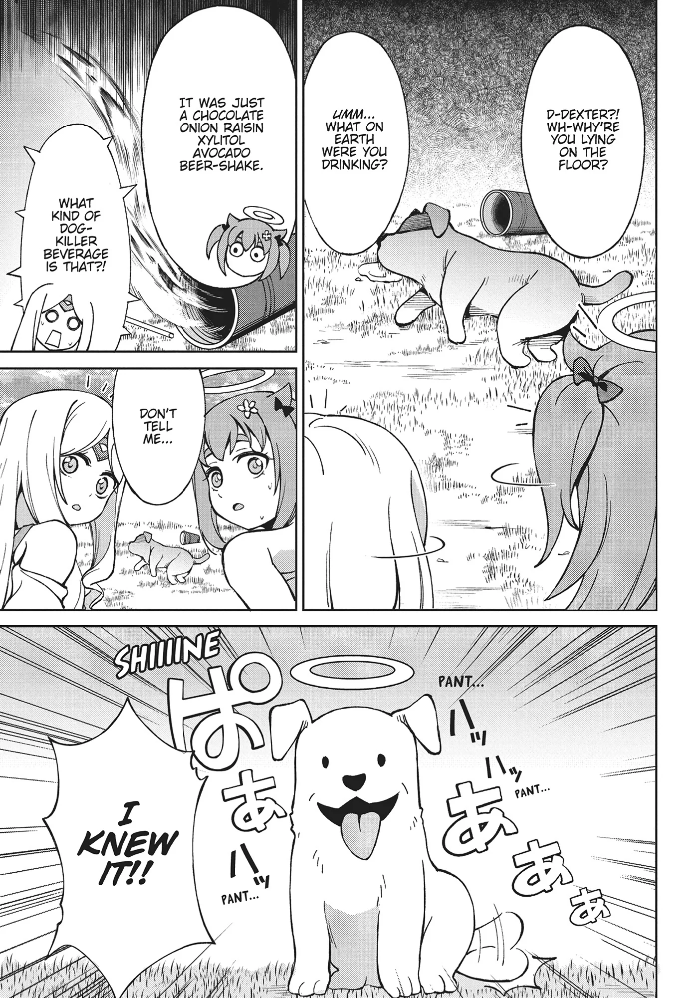 Page 5 of Chapter 19.5