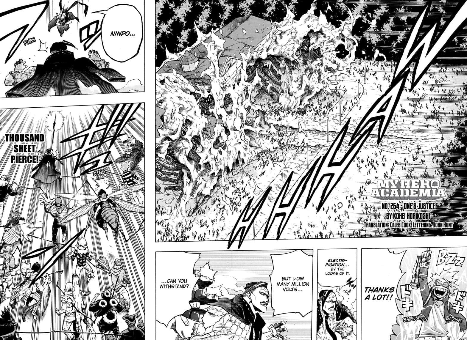 Page 4 of Chapter 264
