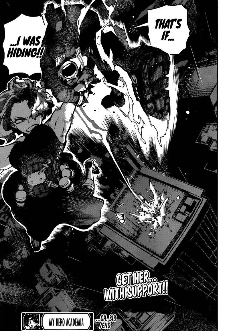 Page 17 of Chapter 313