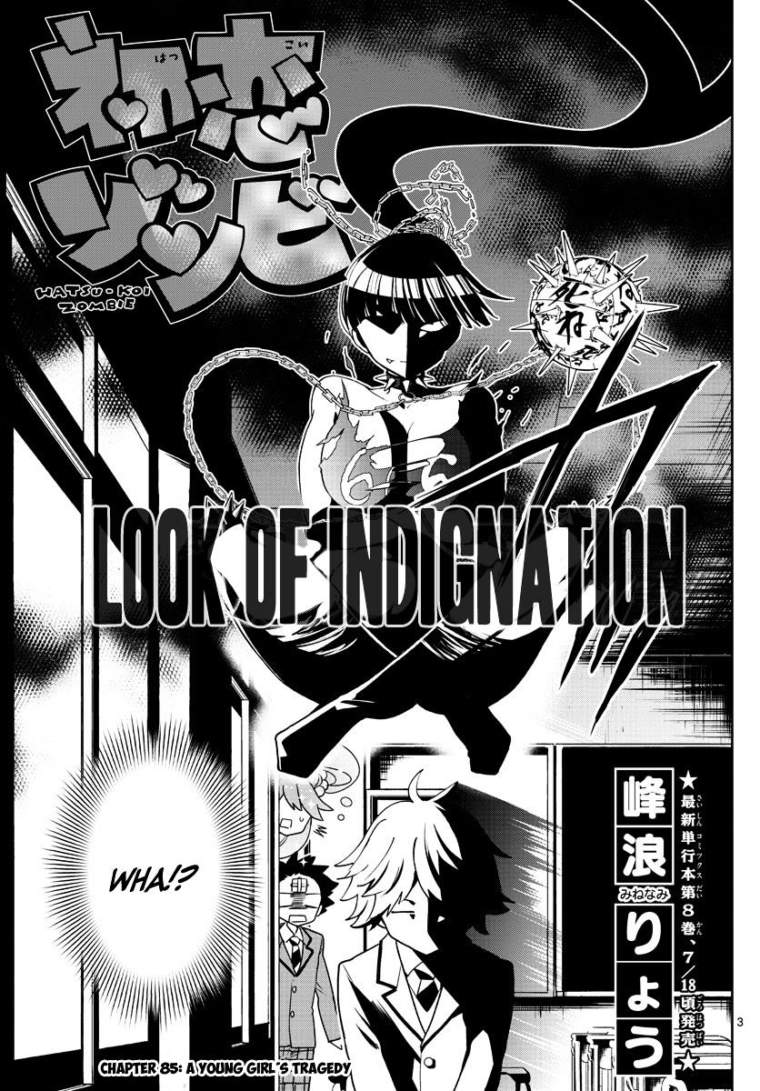 Page 3 of Chapter 85