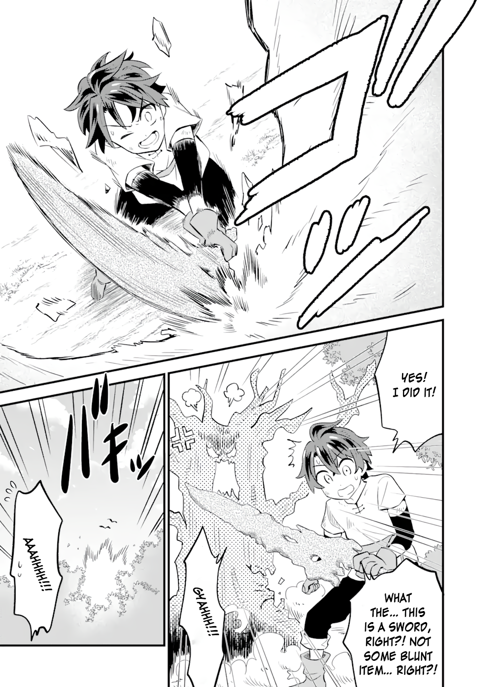 Page 17 of Chapter 2.1