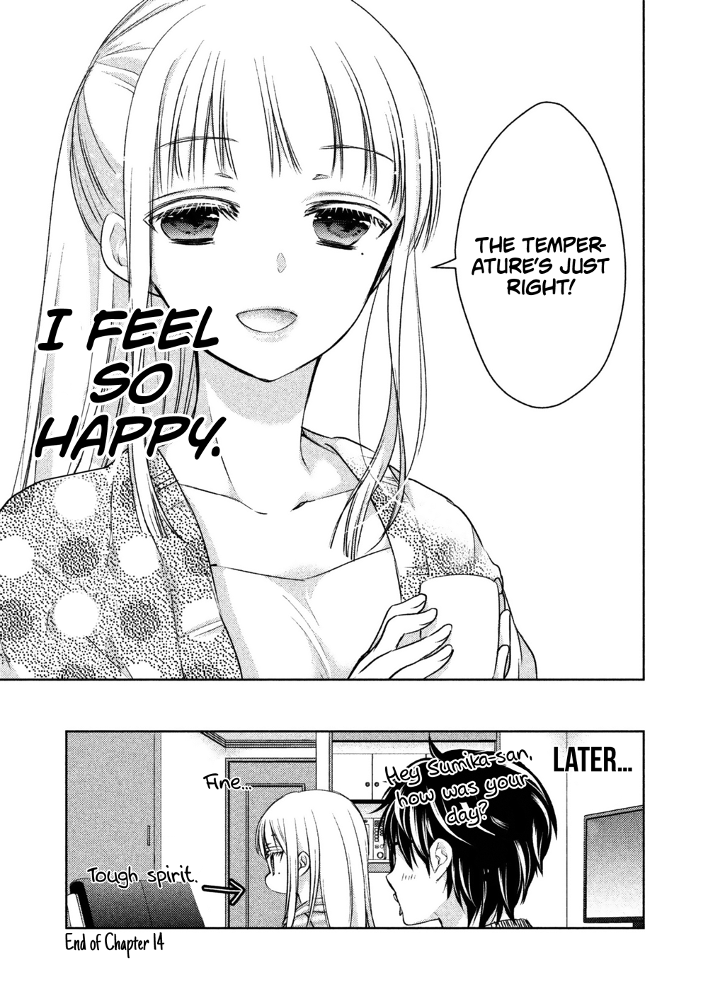 Page 17 of Chapter 14