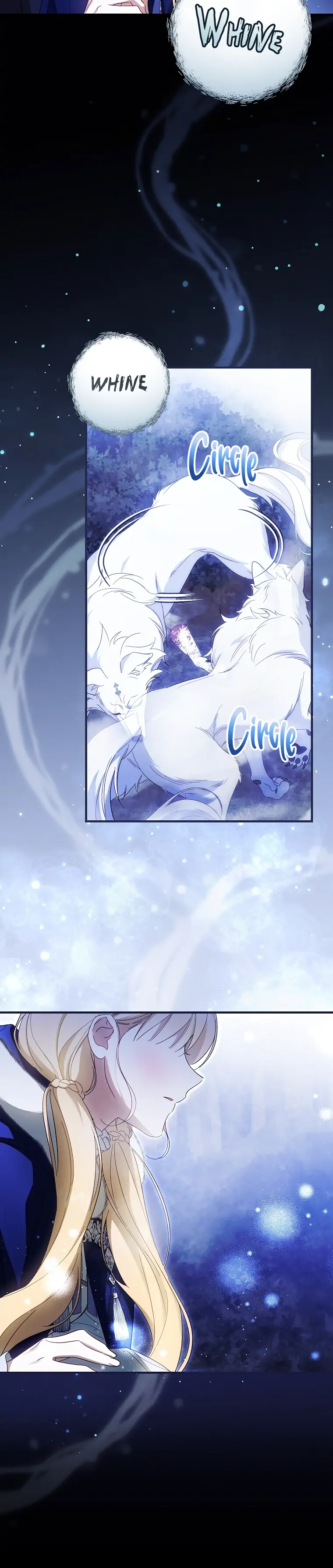 Page 17 of Chapter 63