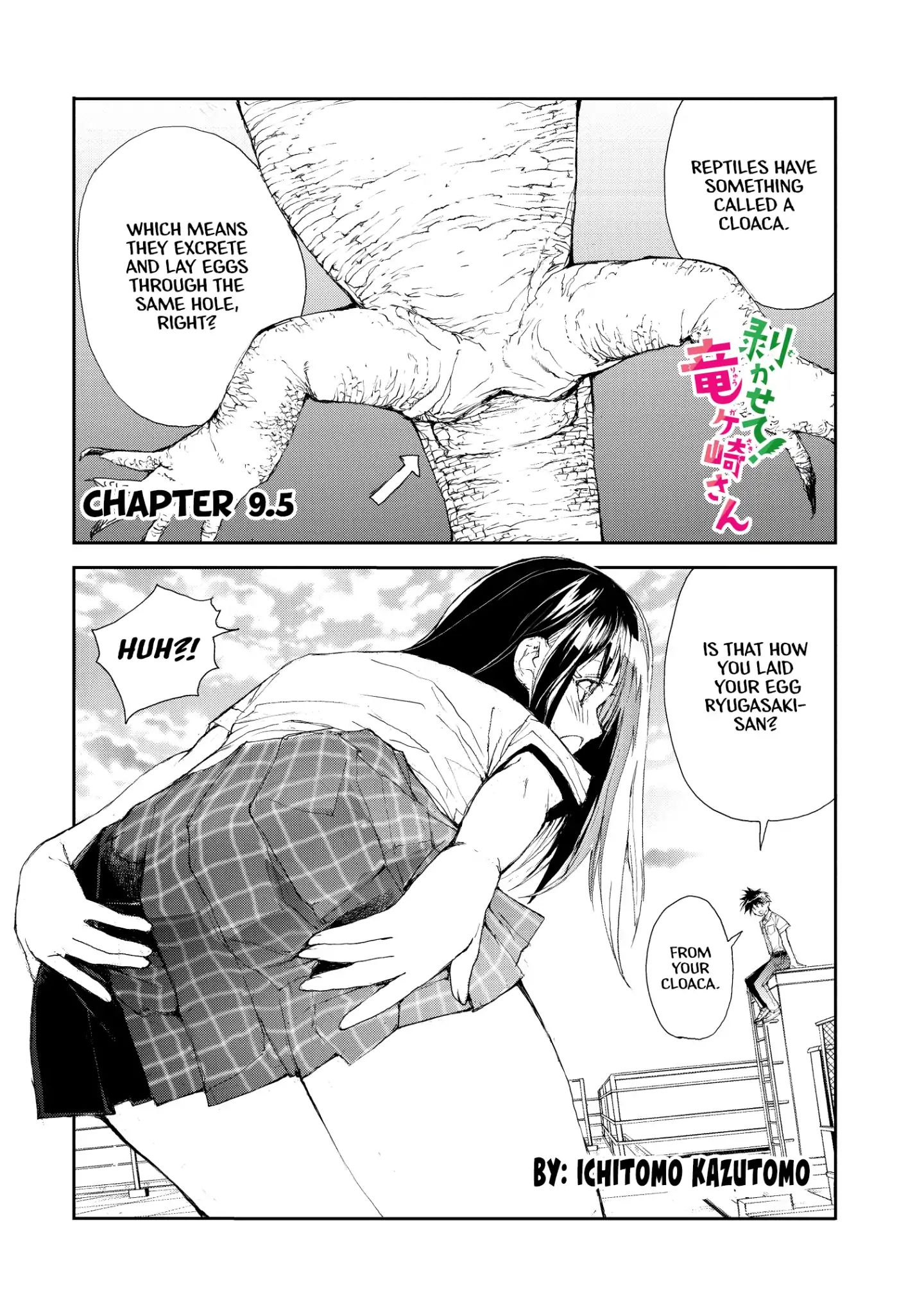 Page 1 of Chapter 9.5