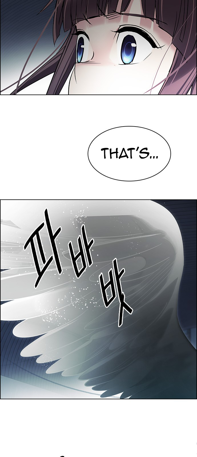 Page 21 of Chapter 251