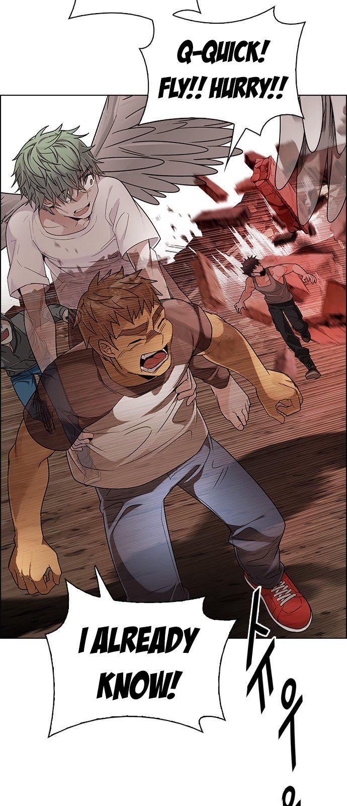 Page 11 of Chapter 284