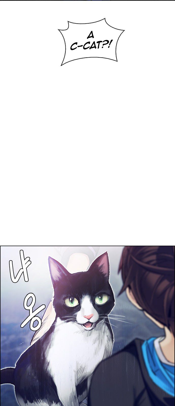 Page 52 of Chapter 356