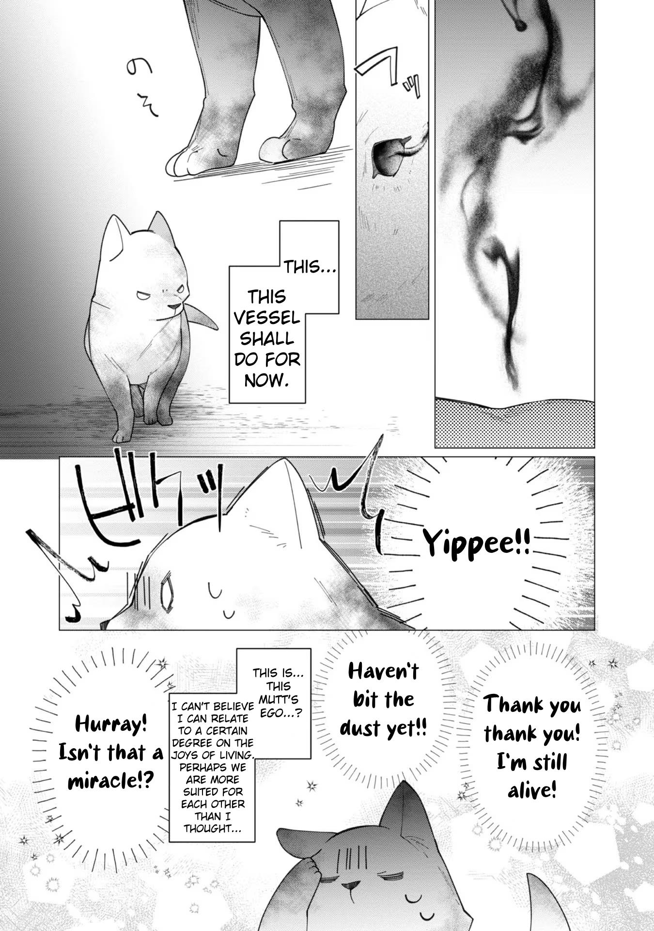 Page 13 of Chapter 12