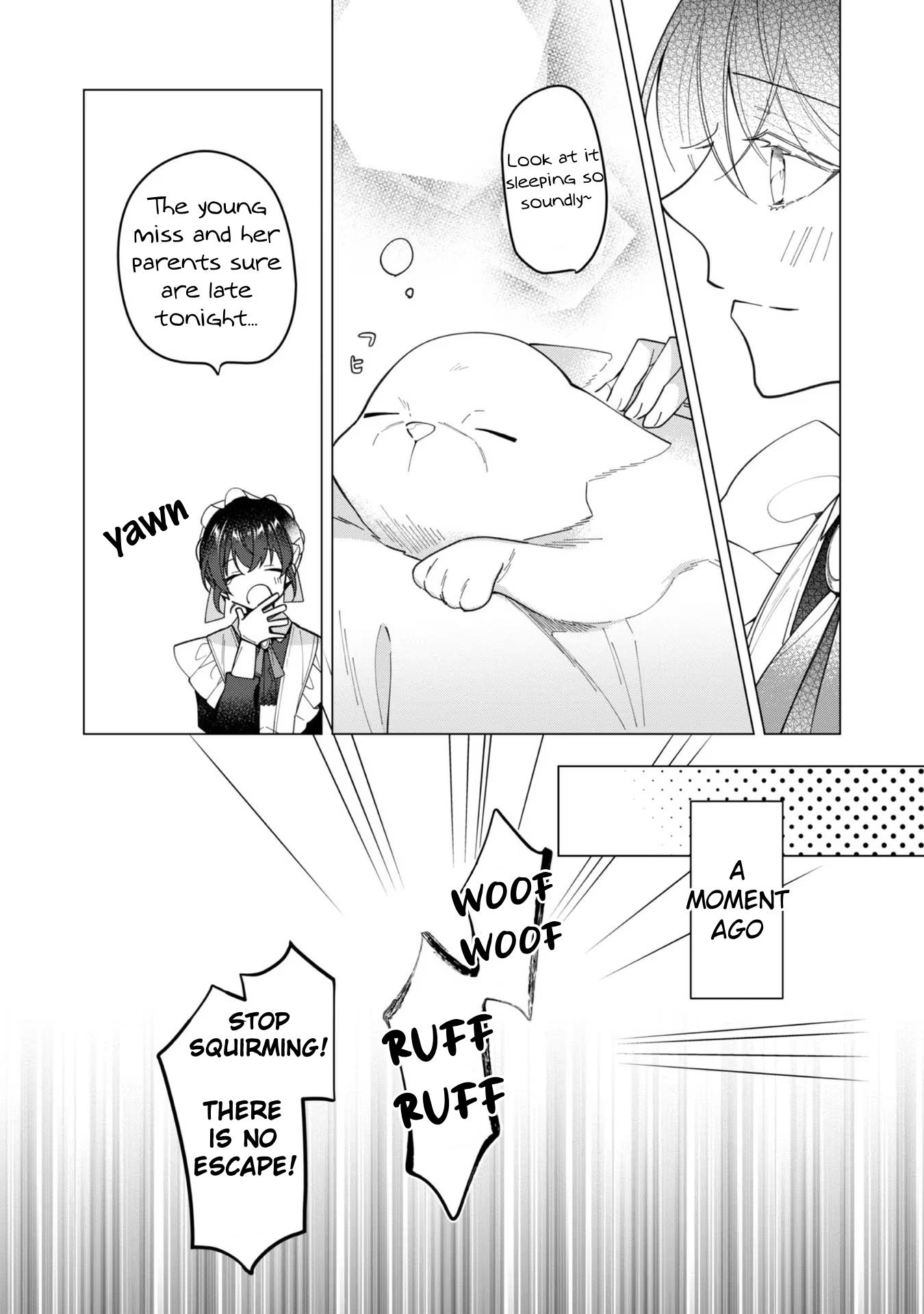 Page 17 of Chapter 13