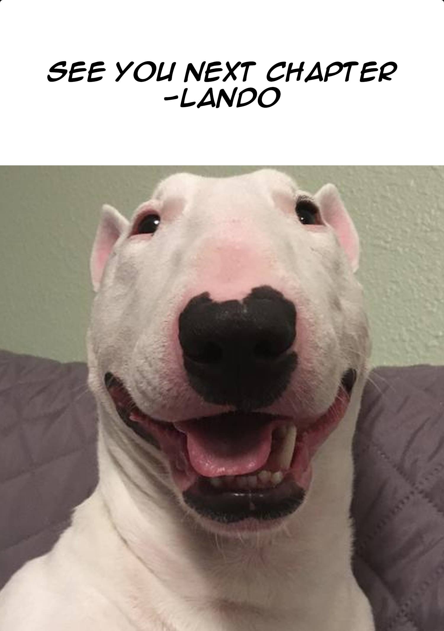 Page 13 of Chapter 1.2