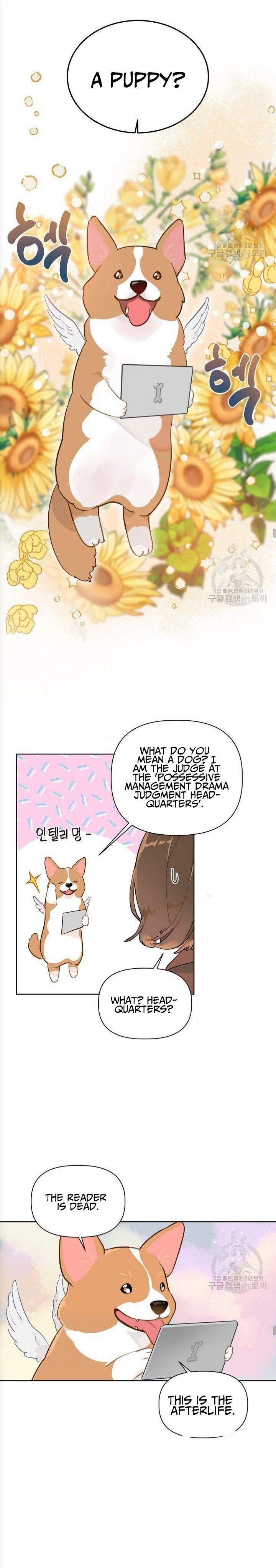 Page 16 of Chapter 1