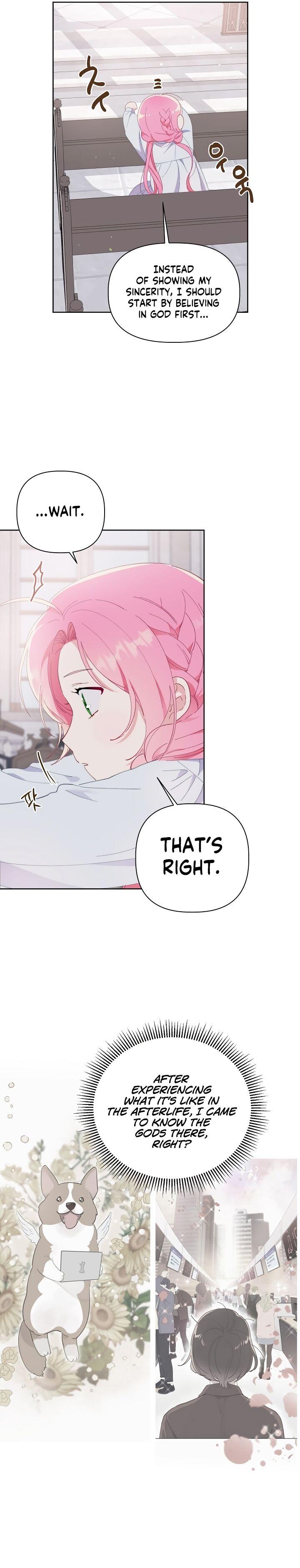 Page 17 of Chapter 8
