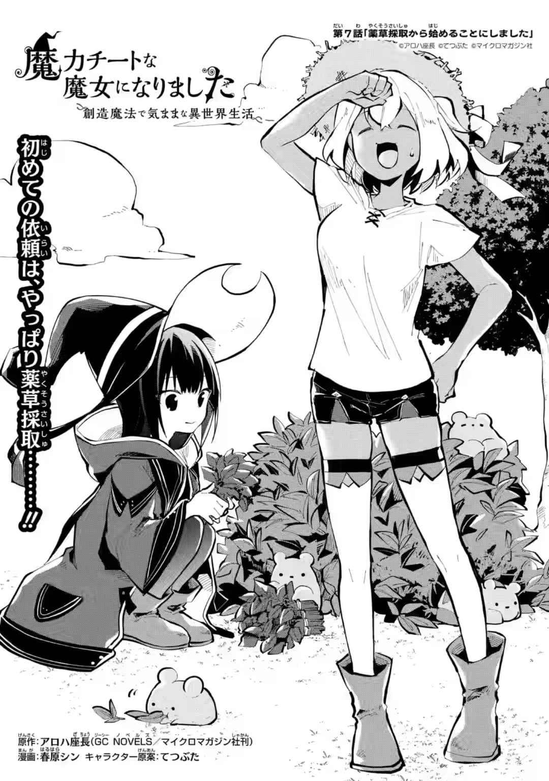 Page 1 of Chapter 7