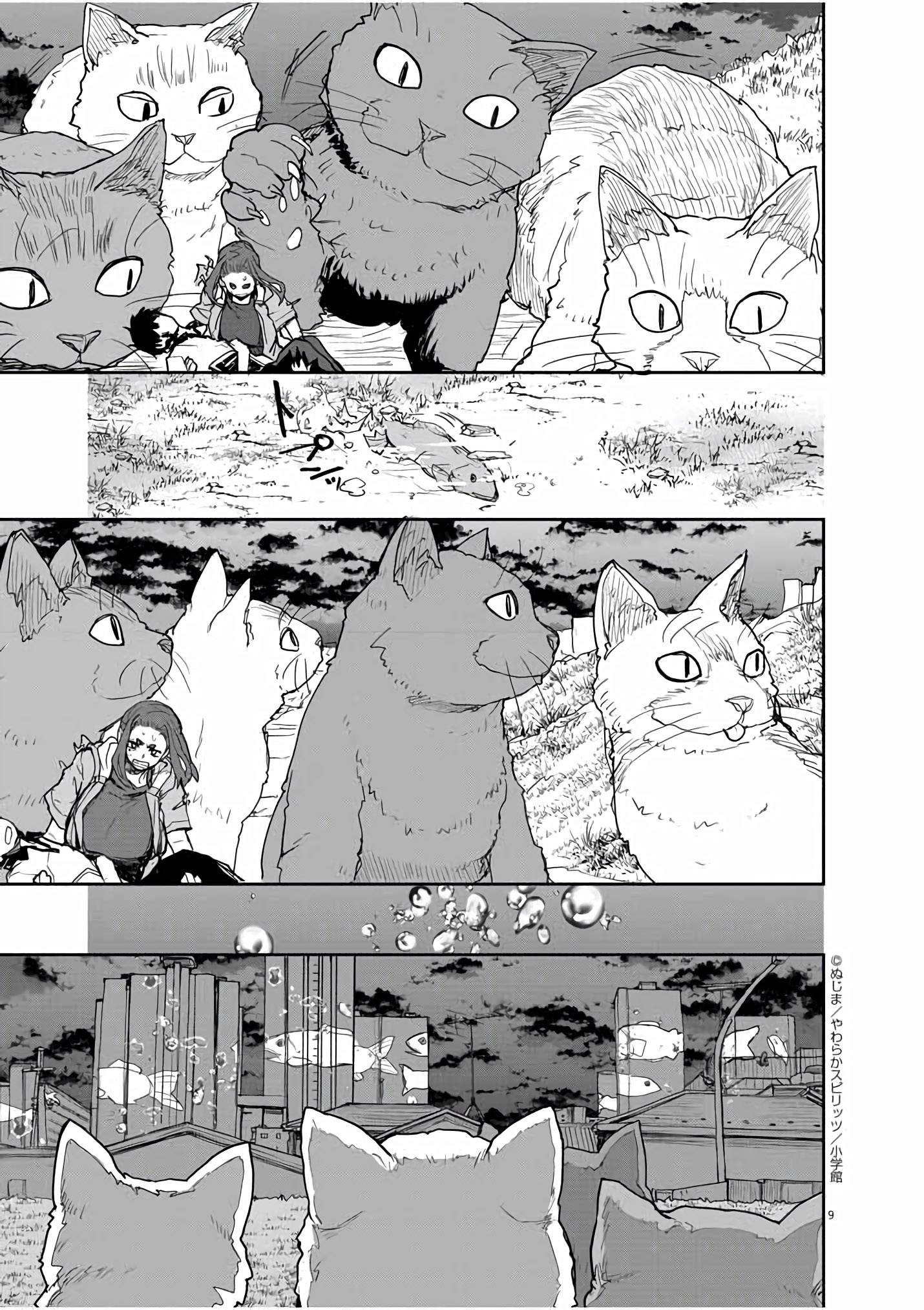 Page 10 of Chapter 40