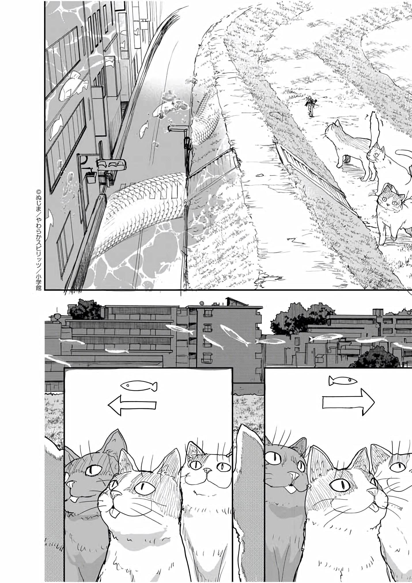 Page 11 of Chapter 40
